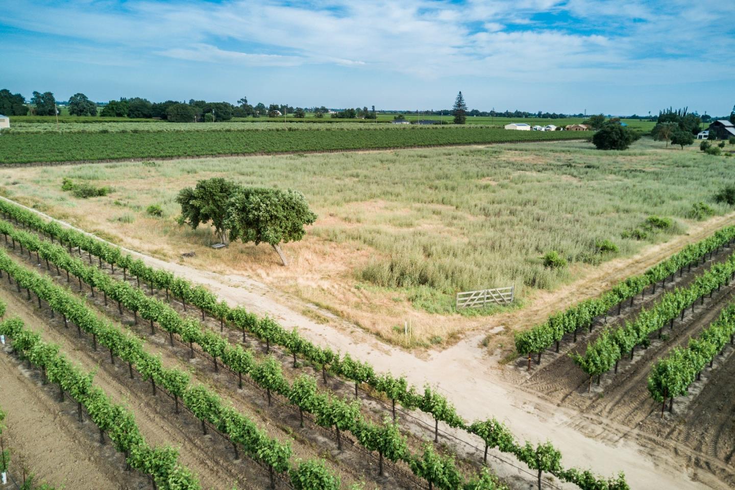 2515 SARGENT Road, LODI, California 95242, ,Lots And Land,For Sale,SARGENT Road,40967320