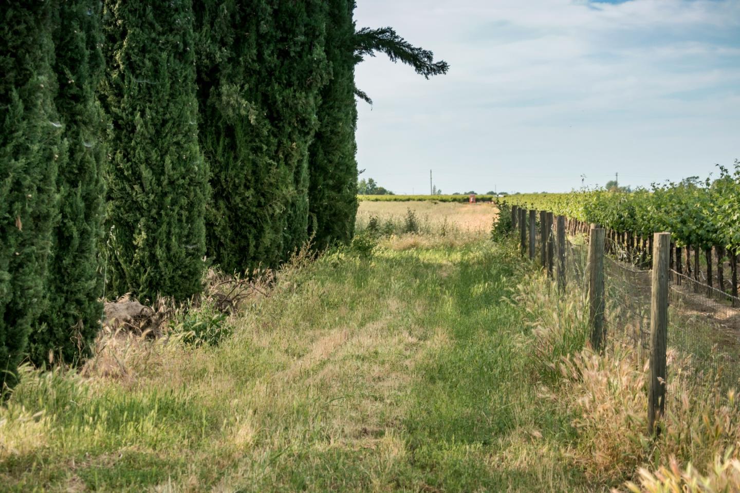 2515 SARGENT Road, LODI, California 95242, ,Lots And Land,For Sale,SARGENT Road,40967320