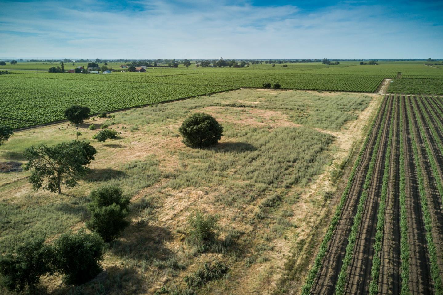 2515 SARGENT Road, LODI, California 95242, ,Lots And Land,For Sale,SARGENT Road,40967320