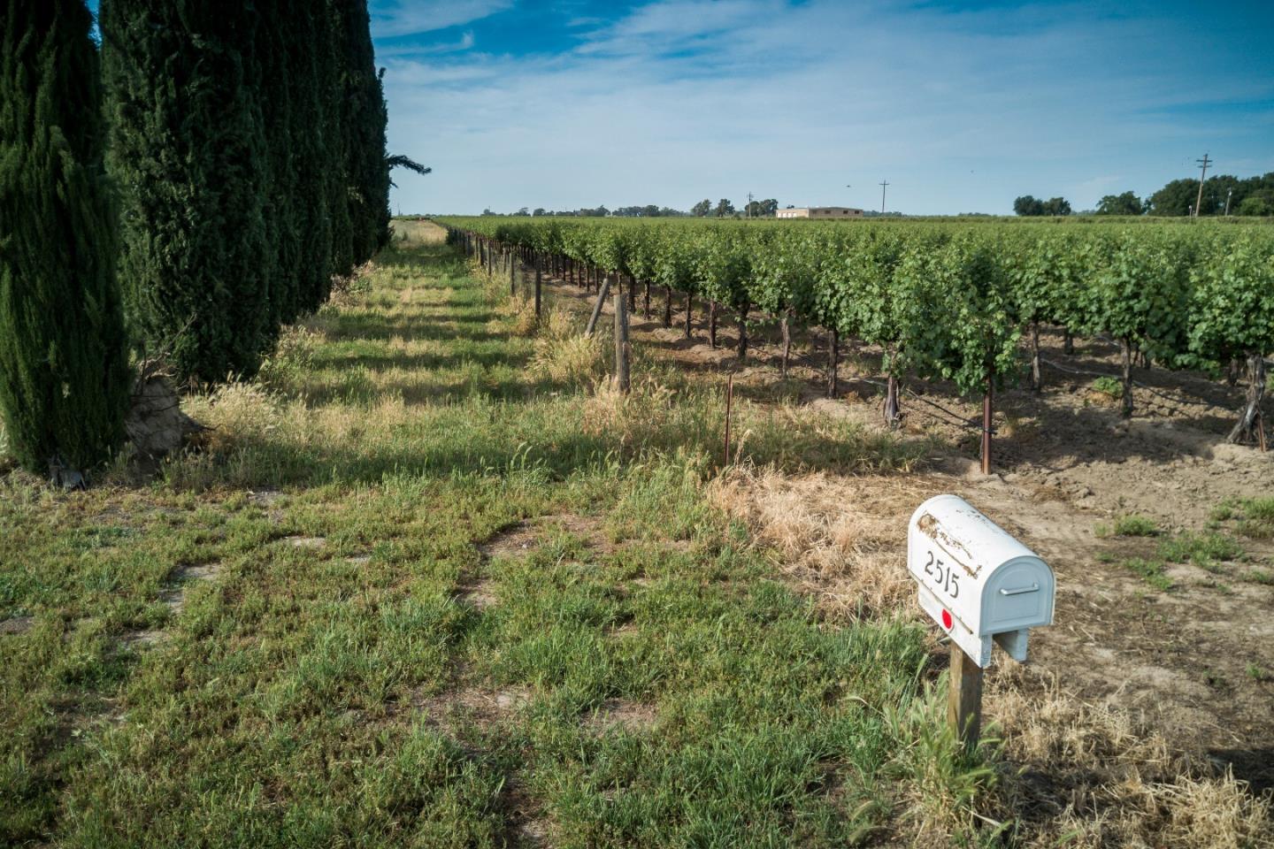 2515 SARGENT Road, LODI, California 95242, ,Lots And Land,For Sale,SARGENT Road,40967320