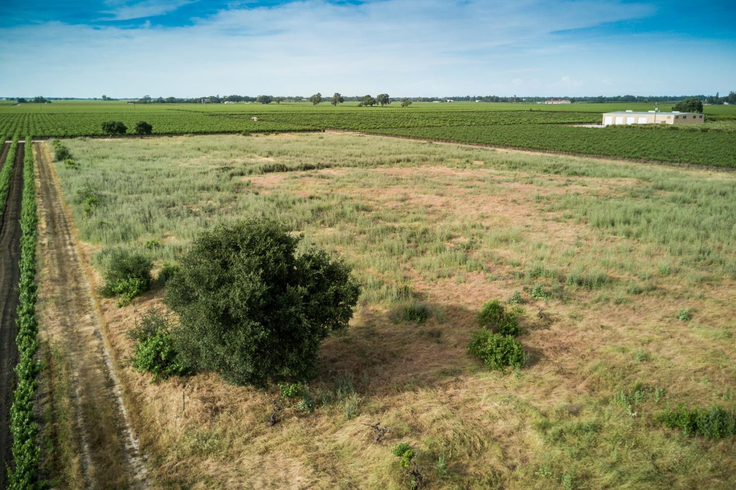 2515 SARGENT Road, LODI, California 95242, ,Lots And Land,For Sale,SARGENT Road,40967320