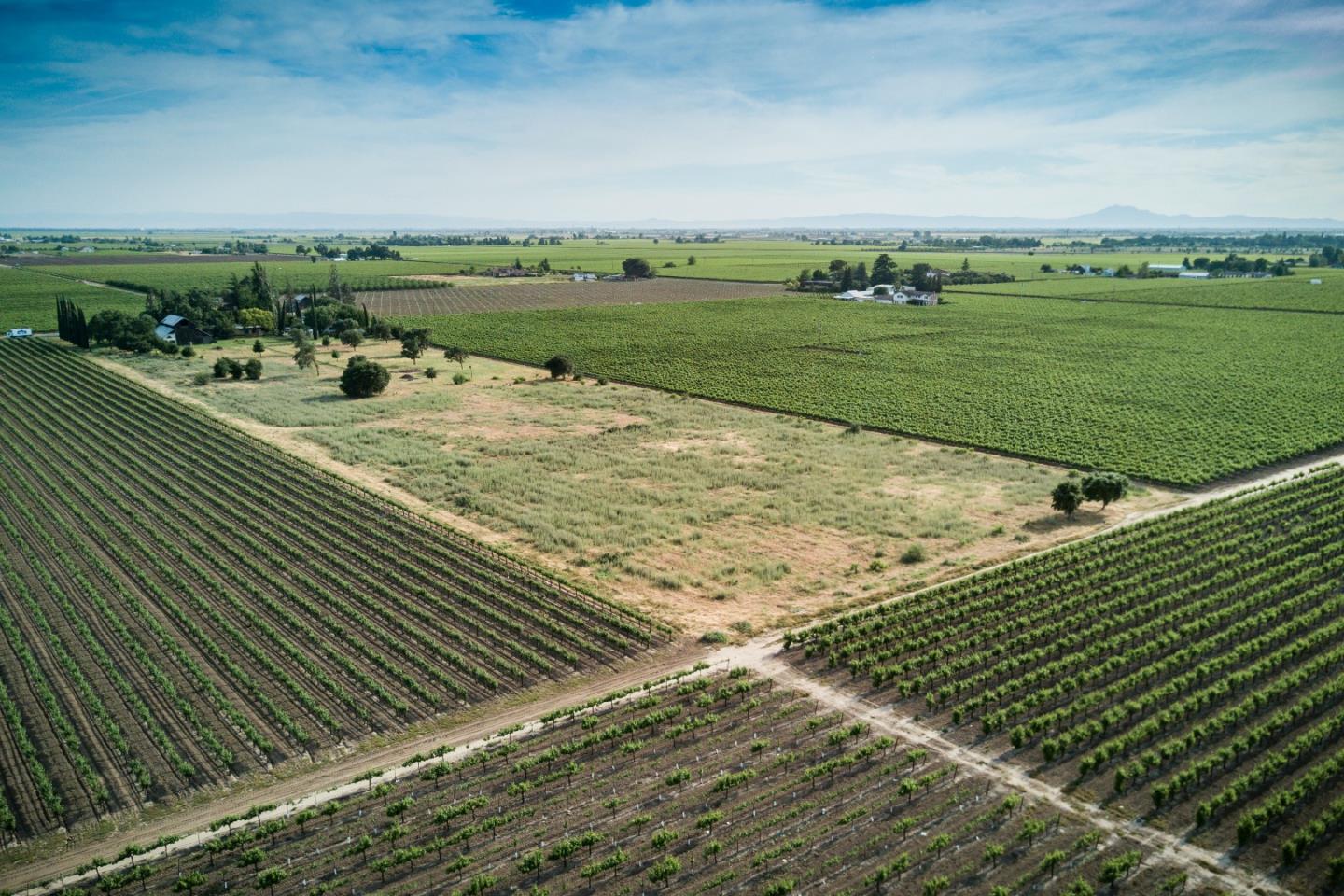 2515 SARGENT Road, LODI, California 95242, ,Lots And Land,For Sale,SARGENT Road,40967320