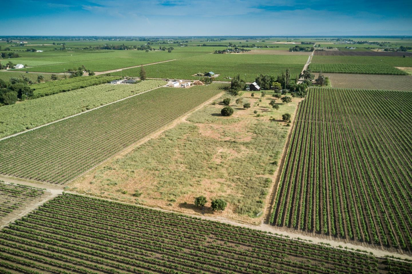 2515 SARGENT Road, LODI, California 95242, ,Lots And Land,For Sale,SARGENT Road,40967320