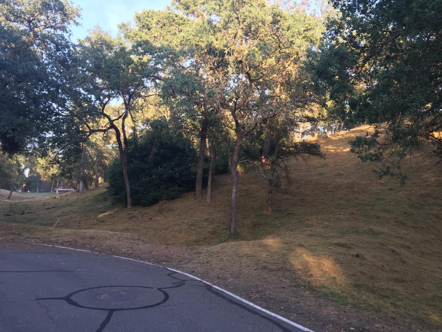 2586 Crest Court, VALLEY SPRINGS, California 95252, ,Lots And Land,For Sale,Crest Court,40967321