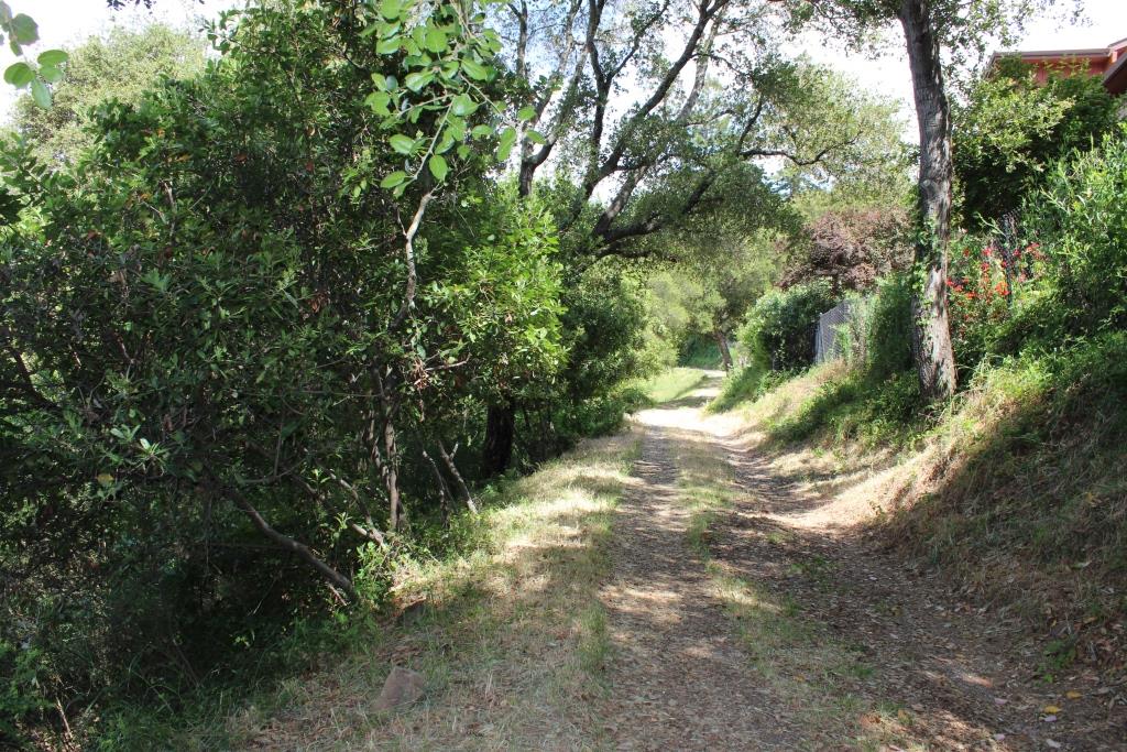 00 Beckwith Road, LOS GATOS, California 95030, ,Lots And Land,For Sale,Beckwith Road,40965161
