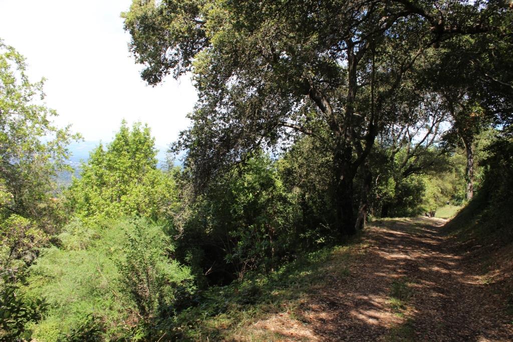 00 Beckwith Road, LOS GATOS, California 95030, ,Lots And Land,For Sale,Beckwith Road,40965161