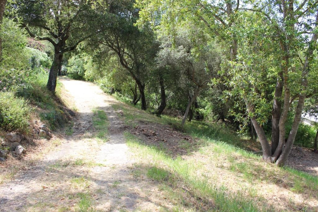 00 Beckwith Road, LOS GATOS, California 95030, ,Lots And Land,For Sale,Beckwith Road,40965161