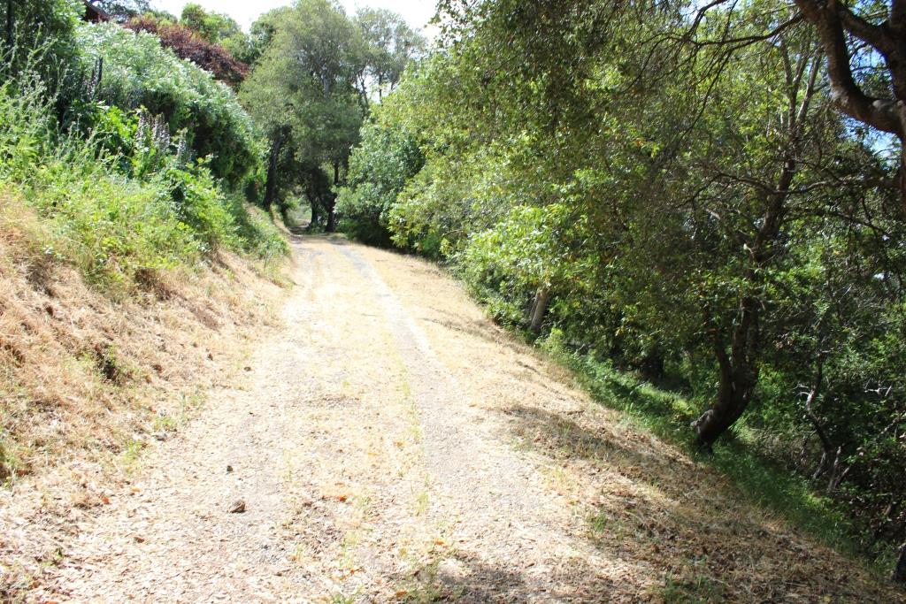 00 Beckwith Road, LOS GATOS, California 95030, ,Lots And Land,For Sale,Beckwith Road,40965161