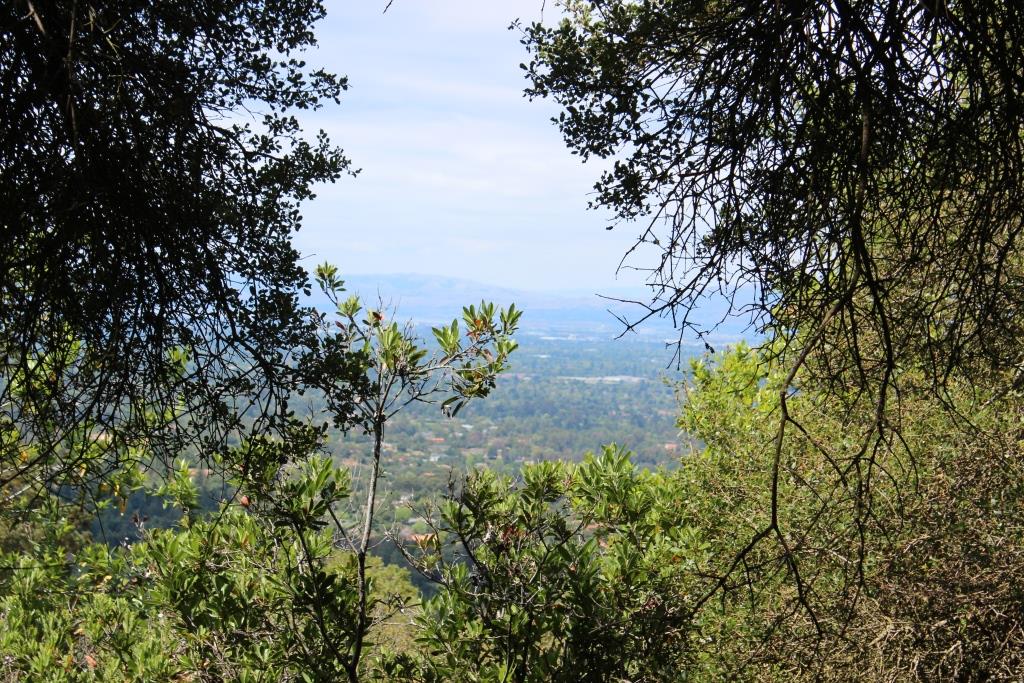 00 Beckwith Road, LOS GATOS, California 95030, ,Lots And Land,For Sale,Beckwith Road,40965161