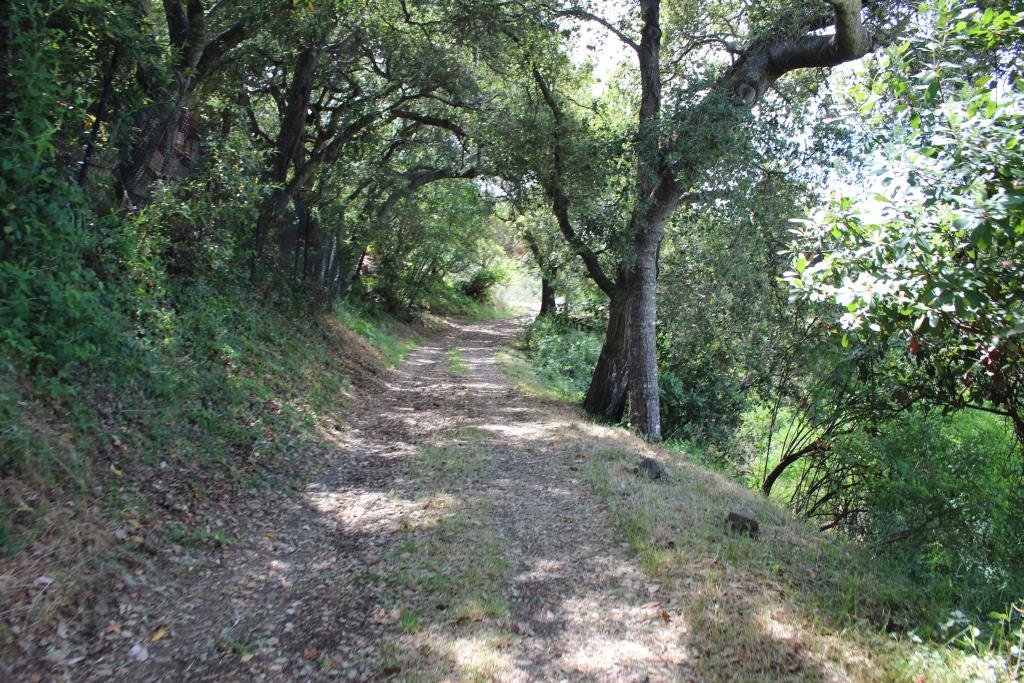 00 Beckwith Road, LOS GATOS, California 95030, ,Lots And Land,For Sale,Beckwith Road,40965161