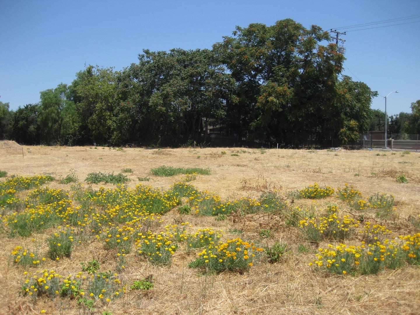 917 Warburton Avenue, SANTA CLARA, California 95050, ,Lots And Land,For Sale,Warburton Avenue,40967324