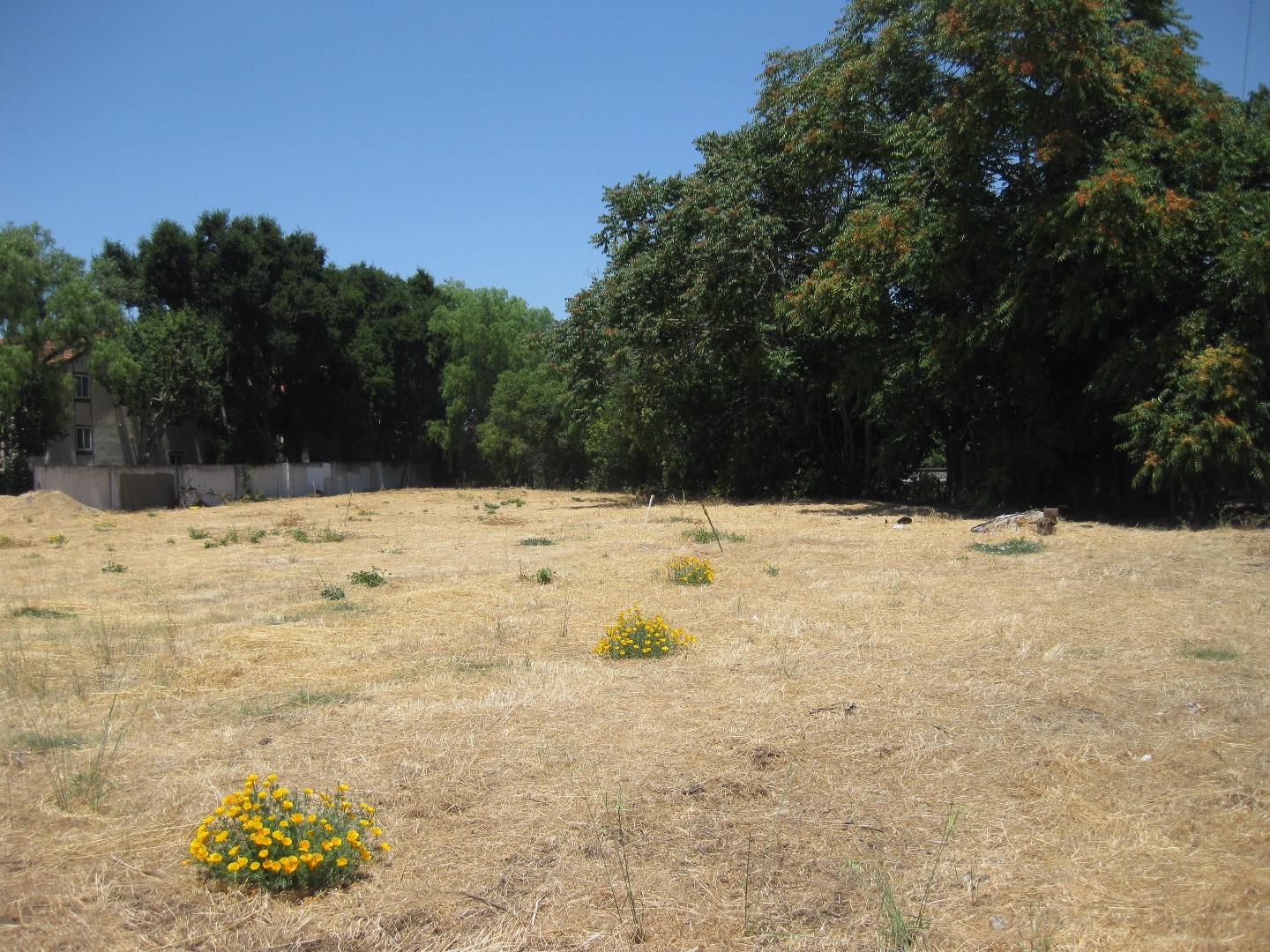 917 Warburton Avenue, SANTA CLARA, California 95050, ,Lots And Land,For Sale,Warburton Avenue,40967324