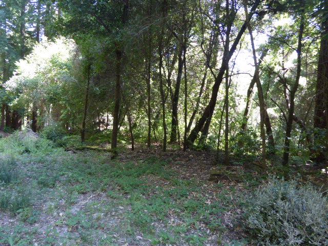 2450 Sparrow Valley Road, APTOS, California 95003, ,Lots And Land,For Sale,Sparrow Valley Road,40967326