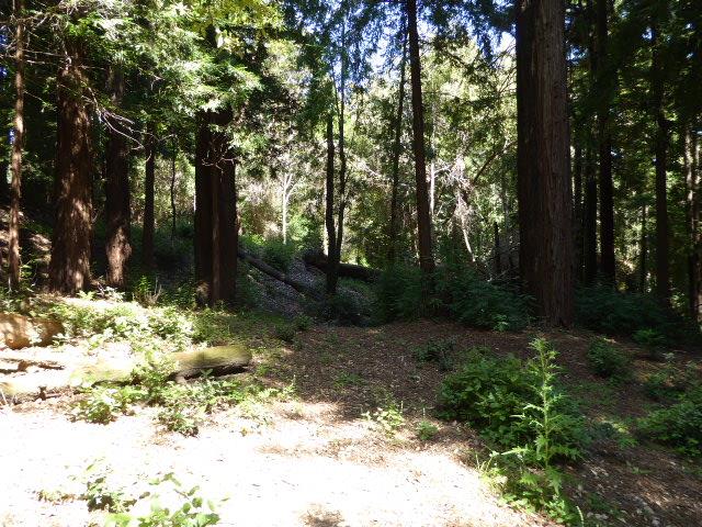 2450 Sparrow Valley Road, APTOS, California 95003, ,Lots And Land,For Sale,Sparrow Valley Road,40967326