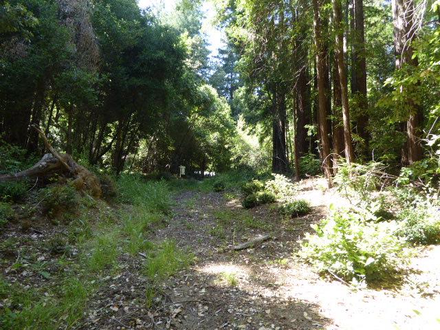 2450 Sparrow Valley Road, APTOS, California 95003, ,Lots And Land,For Sale,Sparrow Valley Road,40967326
