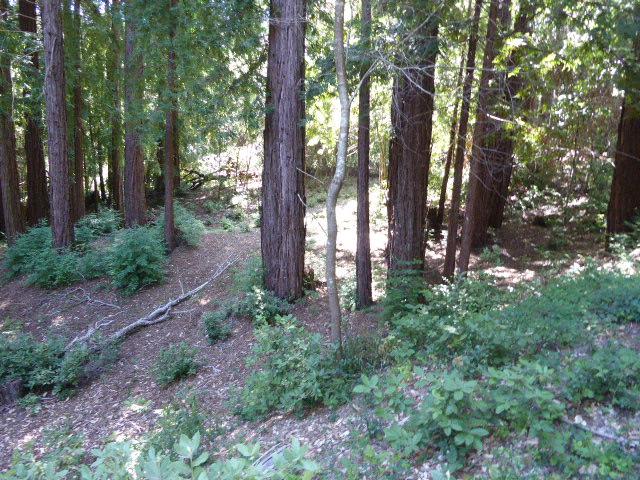 2450 Sparrow Valley Road, APTOS, California 95003, ,Lots And Land,For Sale,Sparrow Valley Road,40967326