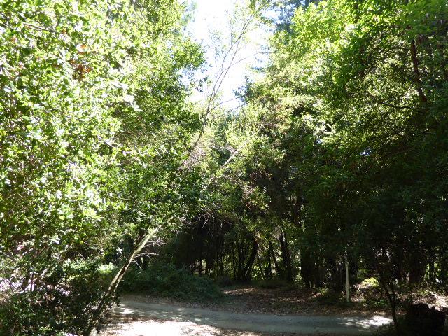 2450 Sparrow Valley Road, APTOS, California 95003, ,Lots And Land,For Sale,Sparrow Valley Road,40967326