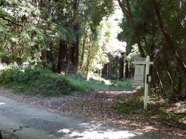 2450 Sparrow Valley Road, APTOS, California 95003, ,Lots And Land,For Sale,Sparrow Valley Road,40967326