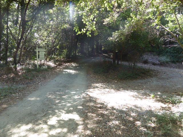 2450 Sparrow Valley Road, APTOS, California 95003, ,Lots And Land,For Sale,Sparrow Valley Road,40967326