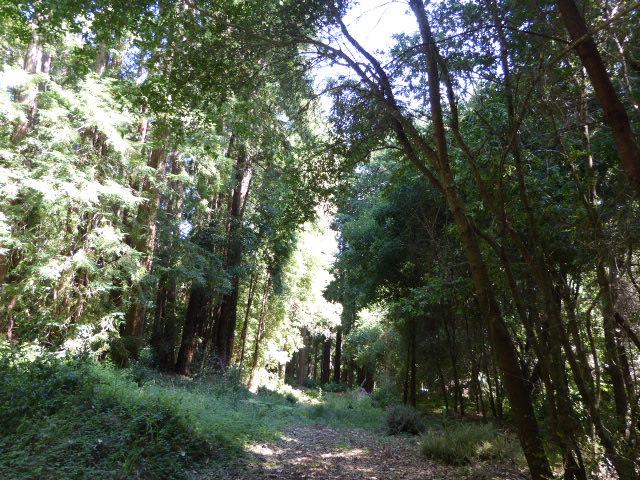 2450 Sparrow Valley Road, APTOS, California 95003, ,Lots And Land,For Sale,Sparrow Valley Road,40967326