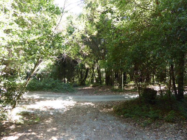 2450 Sparrow Valley Road, APTOS, California 95003, ,Lots And Land,For Sale,Sparrow Valley Road,40967326