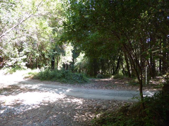 2450 Sparrow Valley Road, APTOS, California 95003, ,Lots And Land,For Sale,Sparrow Valley Road,40967326