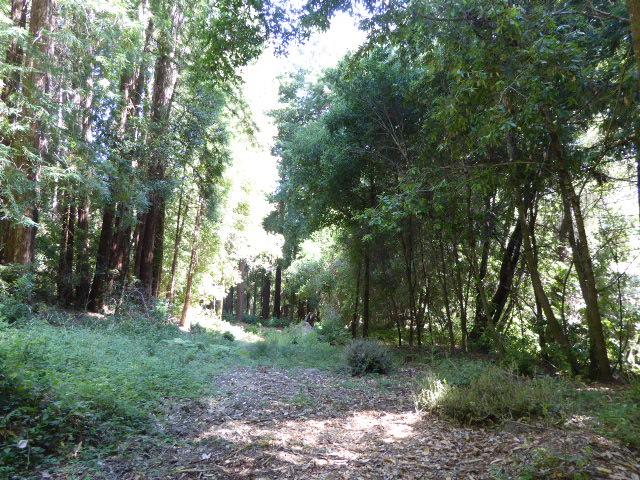 2450 Sparrow Valley Road, APTOS, California 95003, ,Lots And Land,For Sale,Sparrow Valley Road,40967326