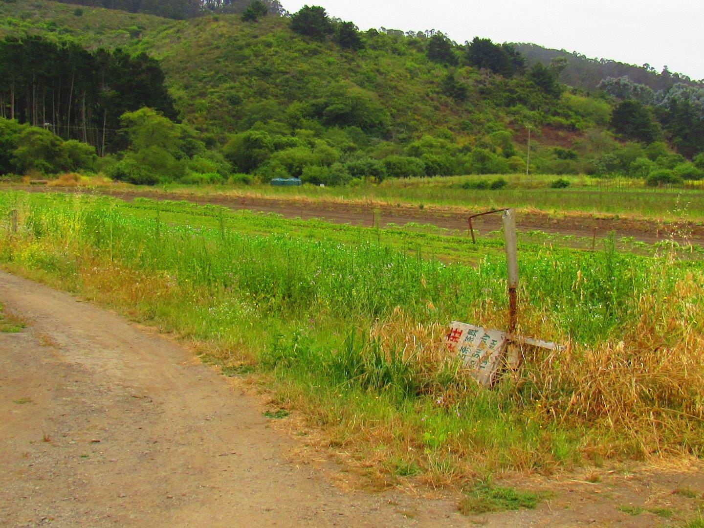 14599 San Mateo Road, HALF MOON BAY, California 94019, ,Comm Lots And Land,For Sale,San Mateo Road,40962963