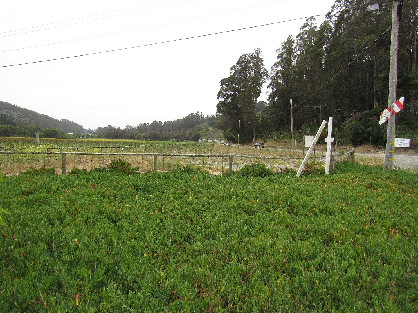 14599 San Mateo Road, HALF MOON BAY, California 94019, ,Comm Lots And Land,For Sale,San Mateo Road,40962963