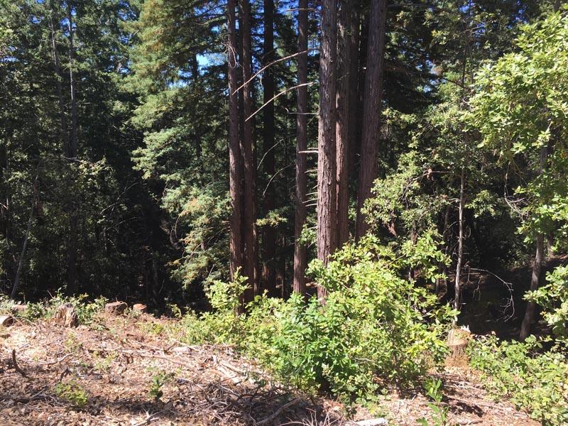 0 Little Basin, BOULDER CREEK, California 95006, ,Lots And Land,For Sale,Little Basin,40967327