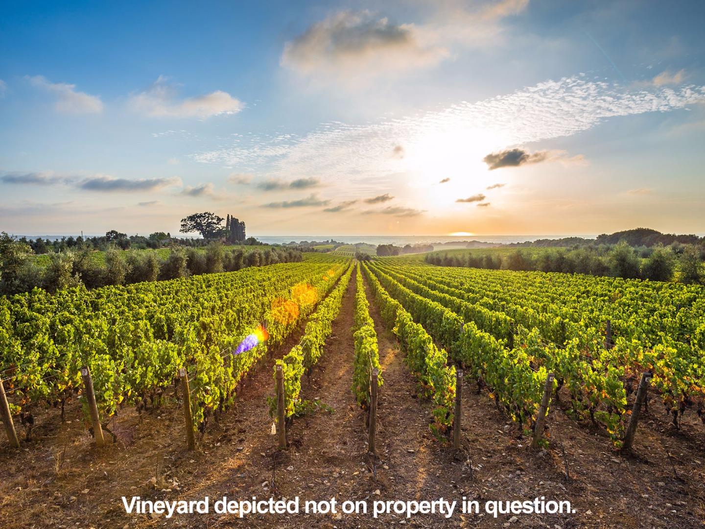 22400 San Vicente Avenue, SAN JOSE, California 95120, ,Lots And Land,For Sale,San Vicente Avenue,40967329