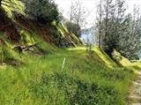 11881 Grizzly Road, OTHER - SEE REMARKS, California 95347, ,Lots And Land,For Sale,Grizzly Road,40967331