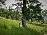 11881 Grizzly Road, OTHER - SEE REMARKS, California 95347, ,Lots And Land,For Sale,Grizzly Road,40967331