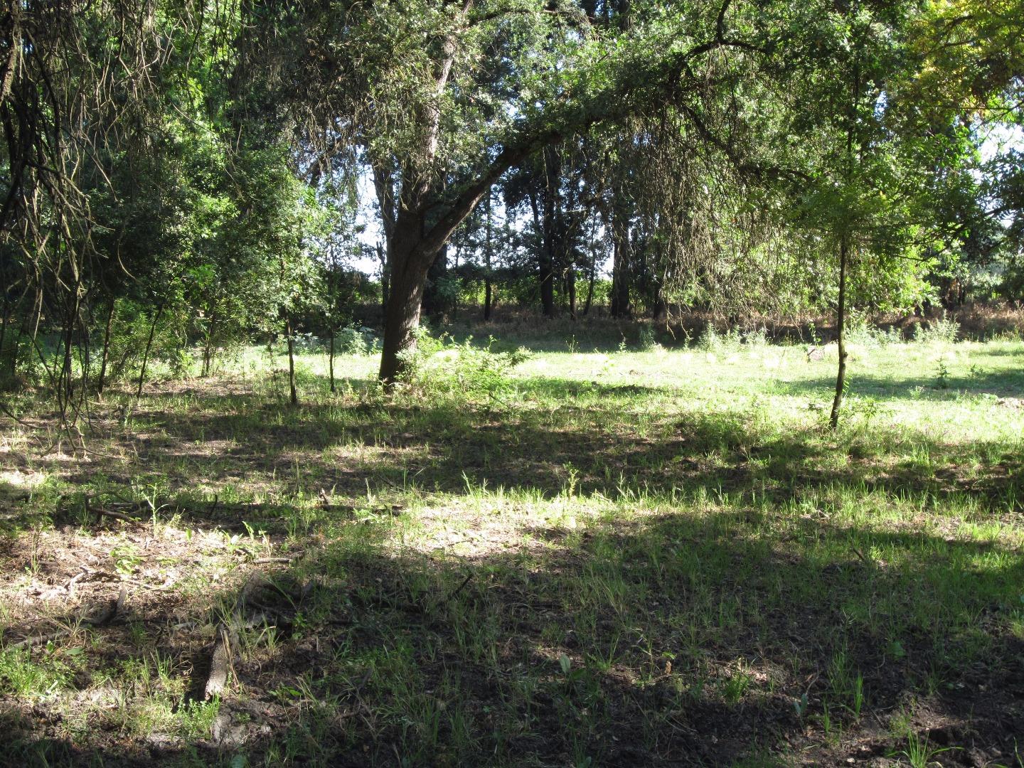 30988 Garden Avenue, MANTECA, California 95337, ,Lots And Land,For Sale,Garden Avenue,40967332