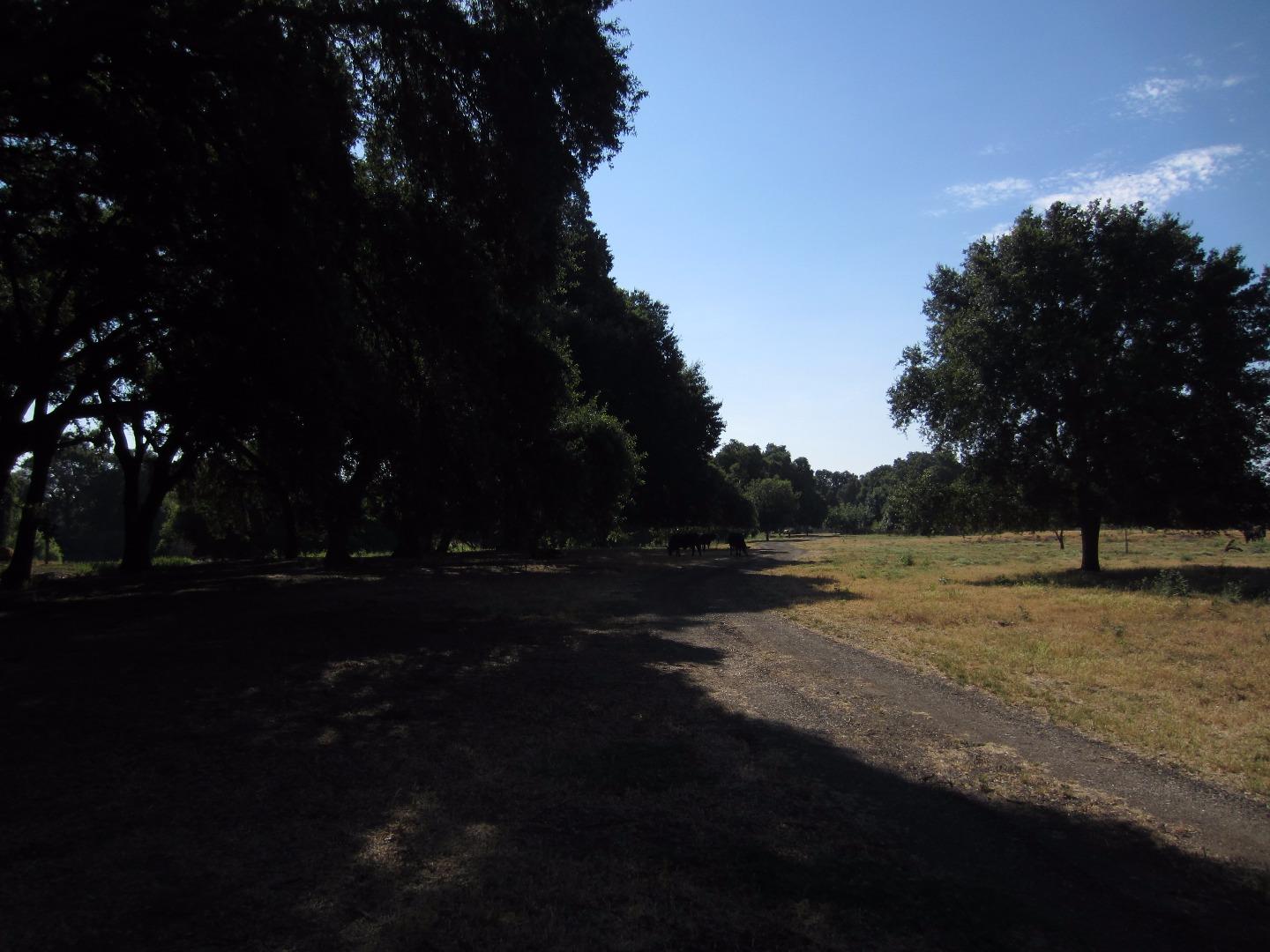 30988 Garden Avenue, MANTECA, California 95337, ,Lots And Land,For Sale,Garden Avenue,40967332