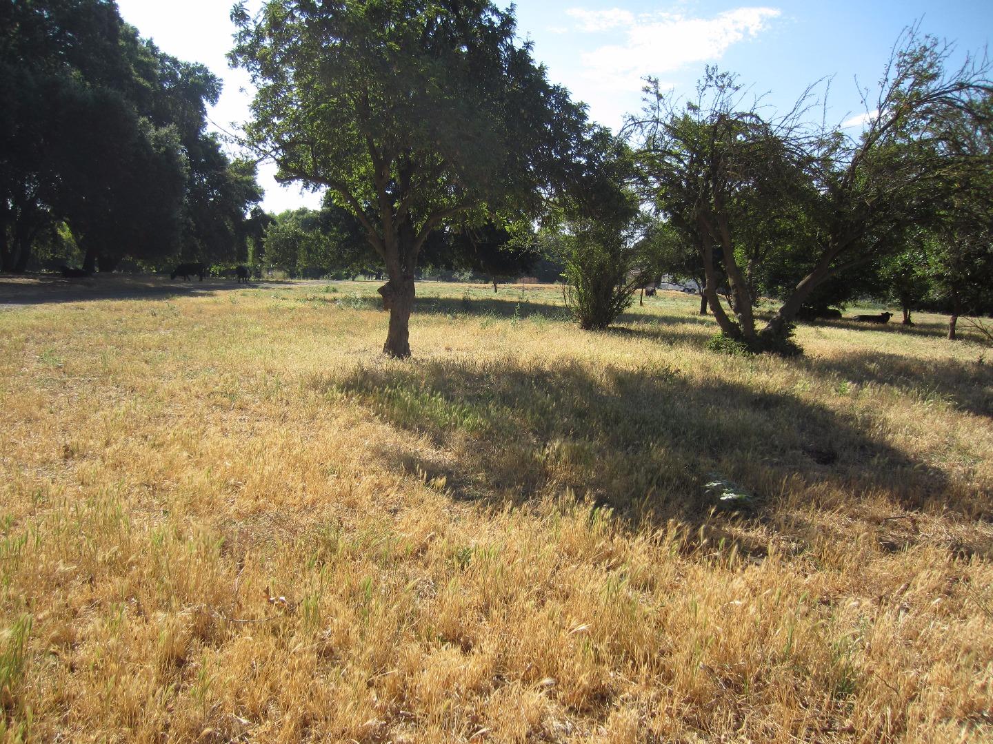 30988 Garden Avenue, MANTECA, California 95337, ,Lots And Land,For Sale,Garden Avenue,40967332
