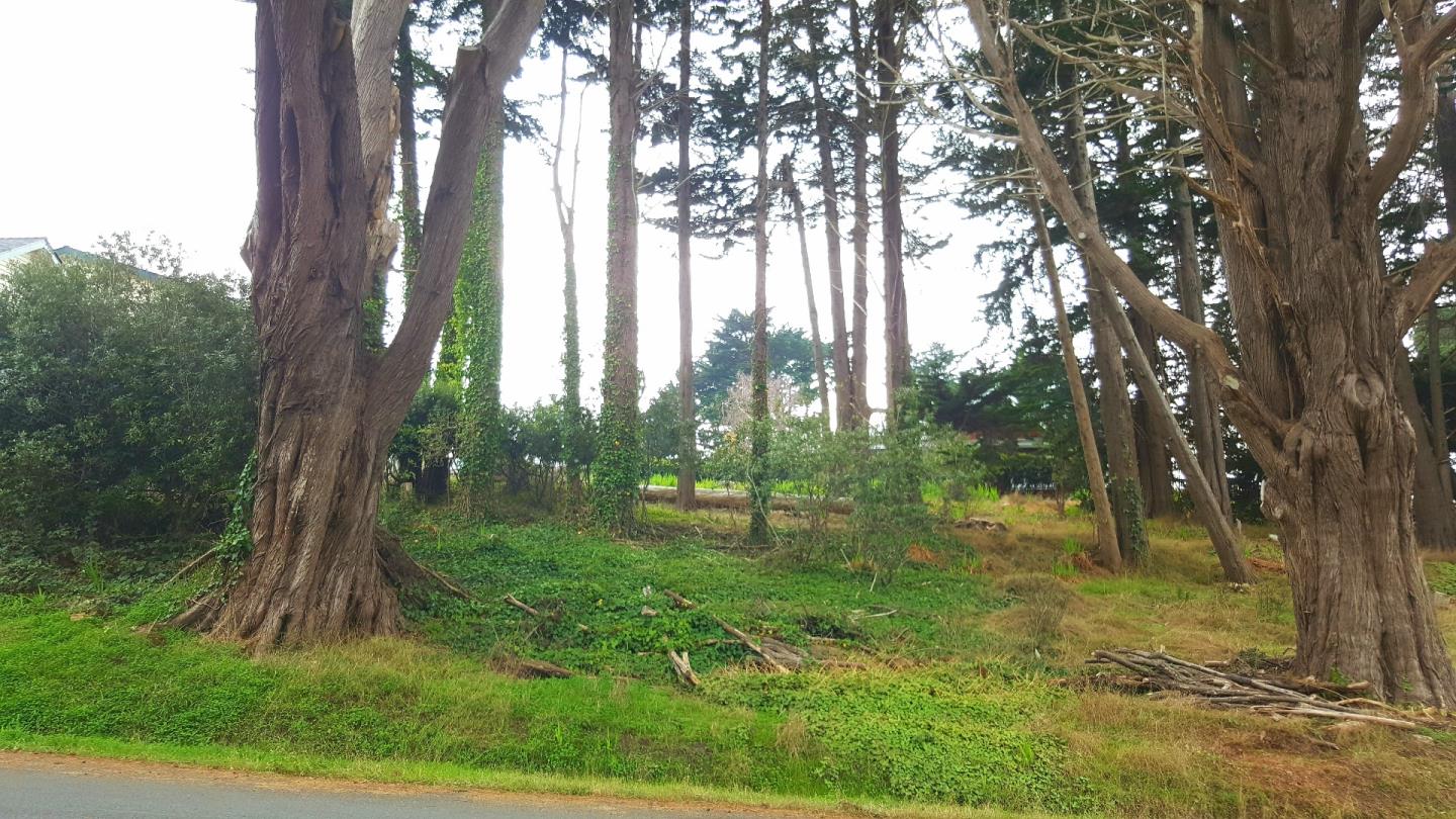 0 0 Edison, MONTARA, California 94037, ,Lots And Land,For Sale,0 Edison,40967335