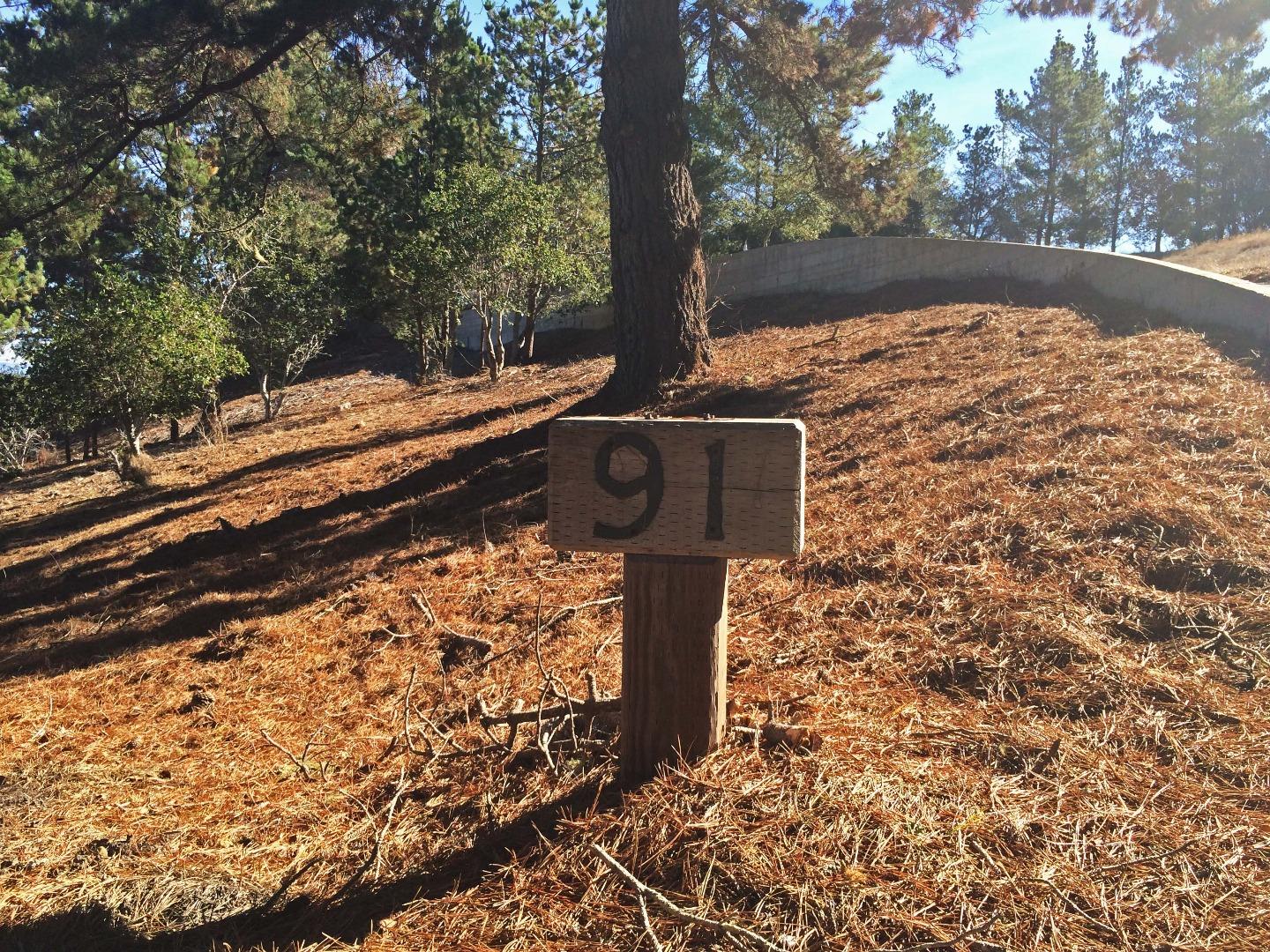 25540 Via Malpaso (Lot 91 Tehama), CARMEL, California 93923, ,Lots And Land,For Sale,Via Malpaso (Lot 91 Tehama),40963758