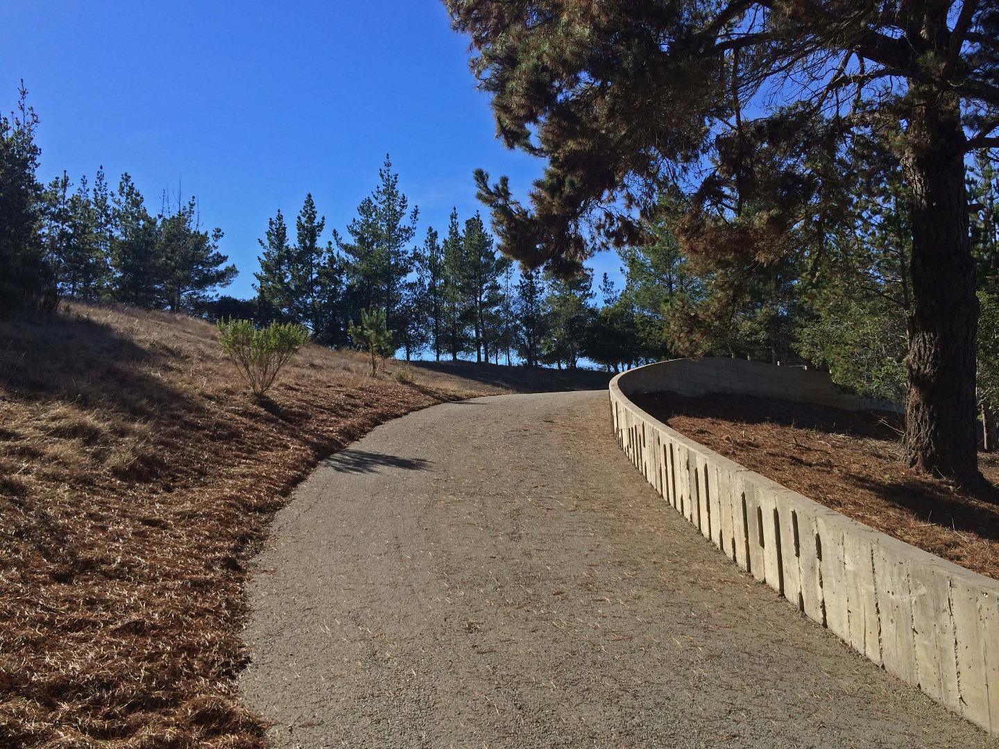 25540 Via Malpaso (Lot 91 Tehama), CARMEL, California 93923, ,Lots And Land,For Sale,Via Malpaso (Lot 91 Tehama),40963758