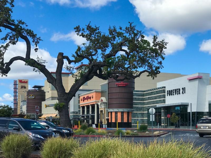 1082 Cedar Gables Drive San Jose Ca 95118 530 000 Www