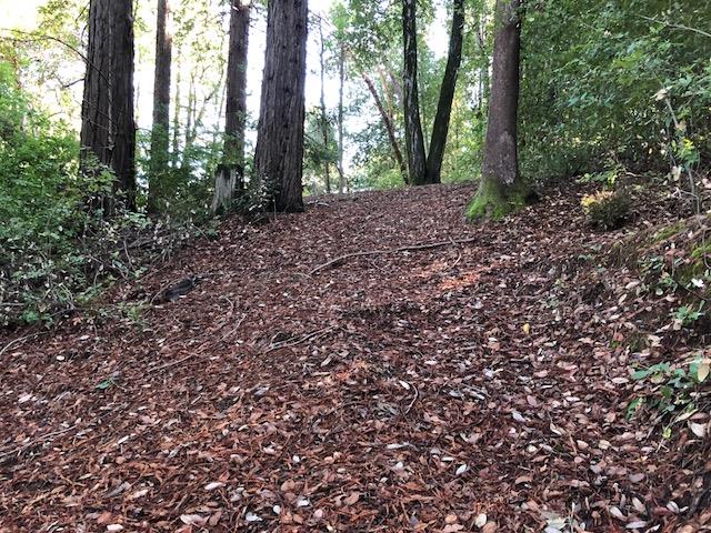 333 Western . Avenue, BROOKDALE, California 95007, ,Lots And Land,For Sale,Western . Avenue,40962486