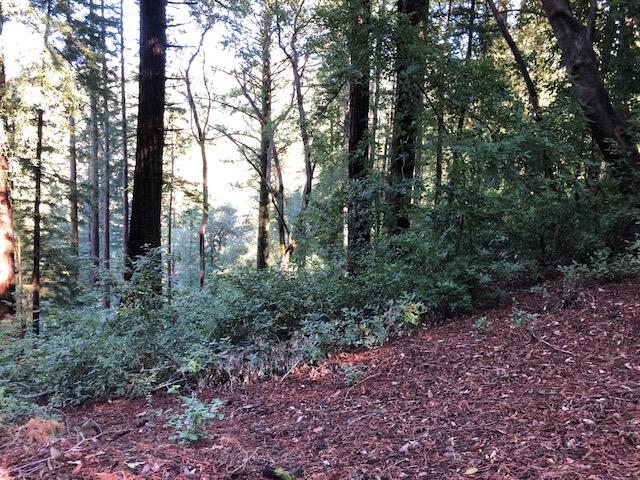 333 Western . Avenue, BROOKDALE, California 95007, ,Lots And Land,For Sale,Western . Avenue,40962486