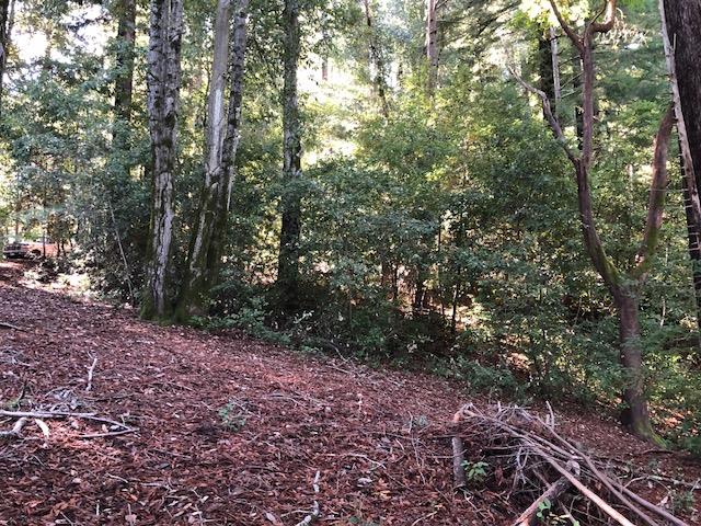 333 Western . Avenue, BROOKDALE, California 95007, ,Lots And Land,For Sale,Western . Avenue,40962486