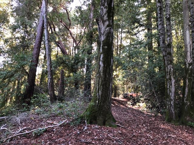 333 Western . Avenue, BROOKDALE, California 95007, ,Lots And Land,For Sale,Western . Avenue,40962486