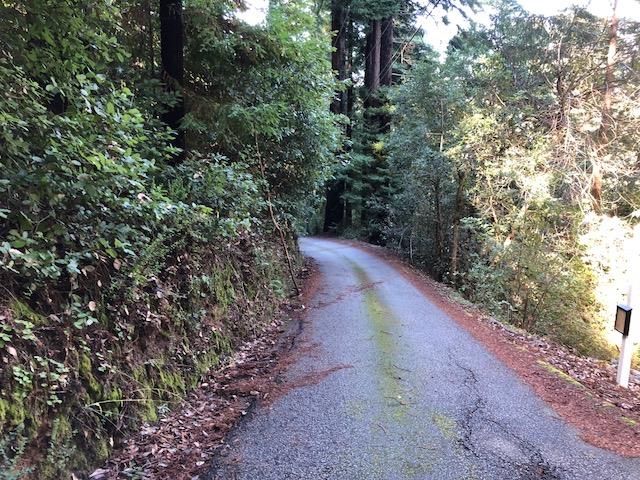 333 Western . Avenue, BROOKDALE, California 95007, ,Lots And Land,For Sale,Western . Avenue,40962486