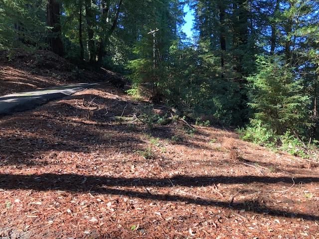 333 Western . Avenue, BROOKDALE, California 95007, ,Lots And Land,For Sale,Western . Avenue,40962486