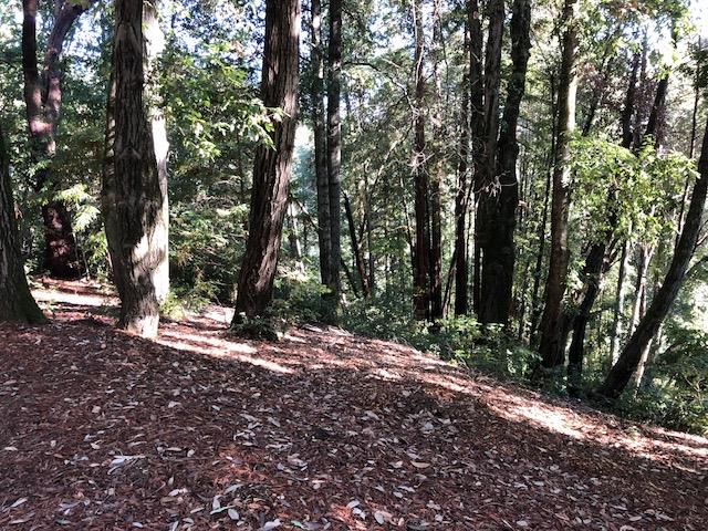 333 Western . Avenue, BROOKDALE, California 95007, ,Lots And Land,For Sale,Western . Avenue,40962486