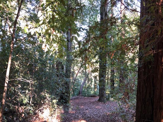 333 Western . Avenue, BROOKDALE, California 95007, ,Lots And Land,For Sale,Western . Avenue,40962486