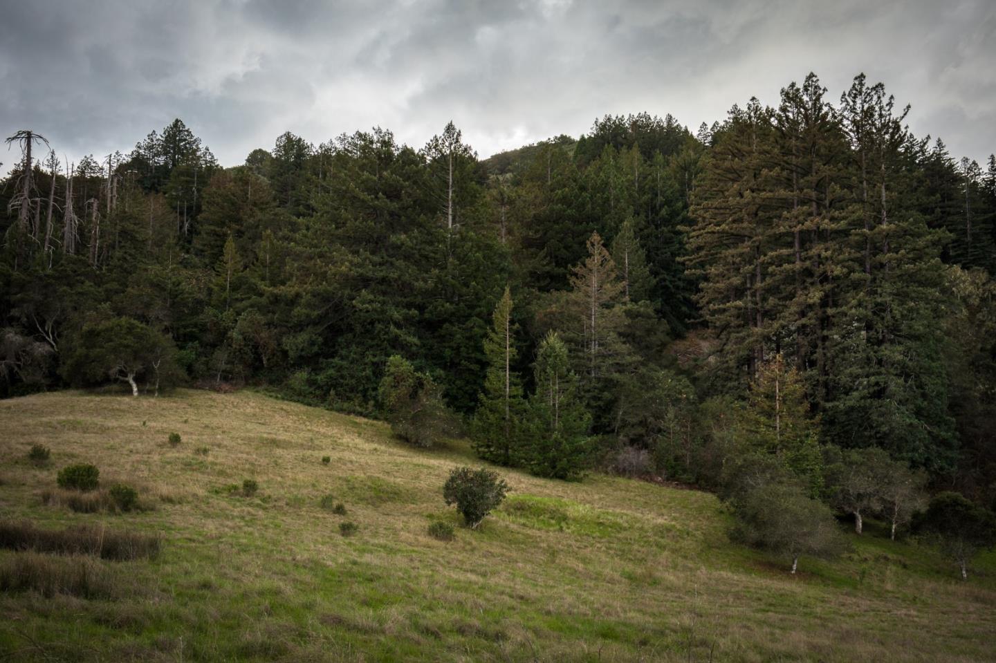 33 Potrero Trail, CARMEL, California 93923, ,Lots And Land,For Sale,Potrero Trail,40961930