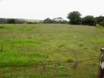 16244 Blackie Road, SALINAS, California 93907, ,Lots And Land,For Sale,Blackie Road,40962301